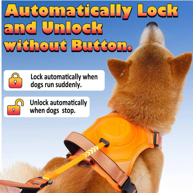 Anvyx GlideControl Leash System