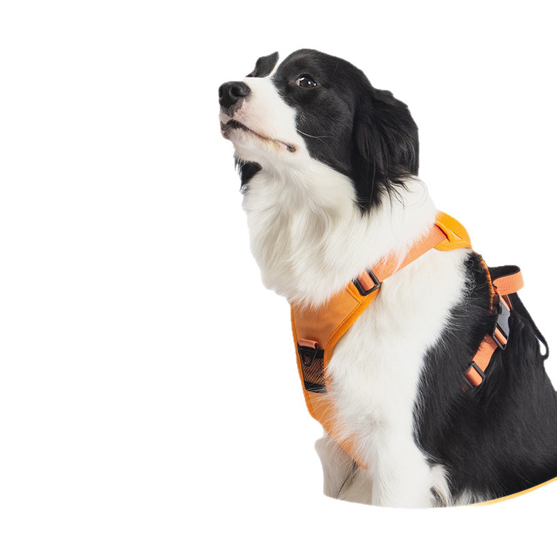 Anvyx GlideControl Leash System