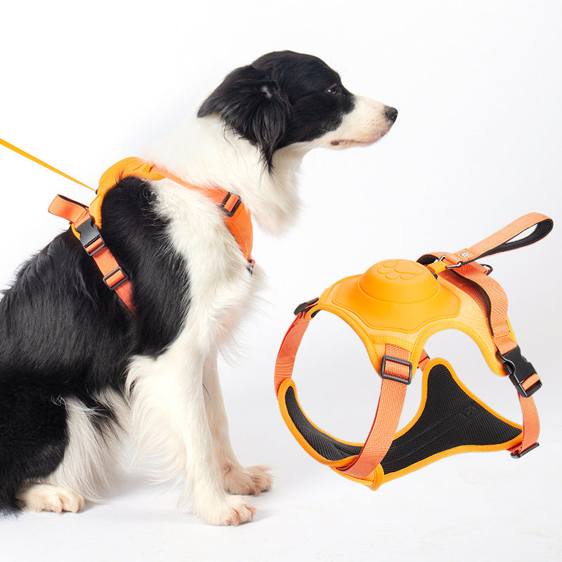 Anvyx GlideControl Leash System