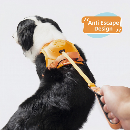 Anvyx GlideControl Leash System
