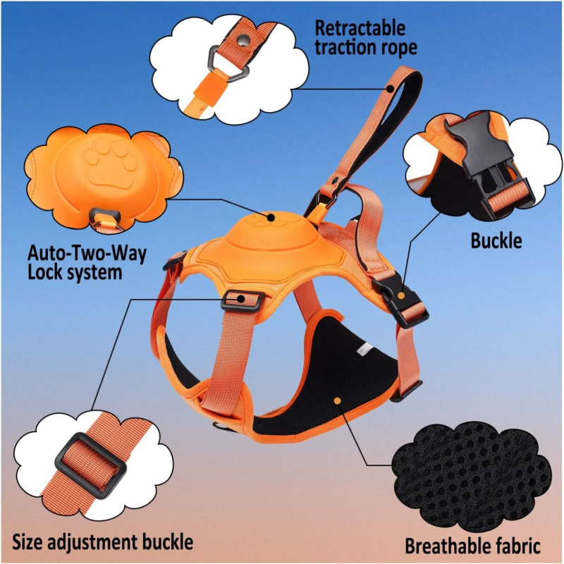 Anvyx GlideControl Leash System