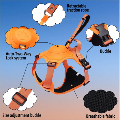 Anvyx GlideControl Leash System