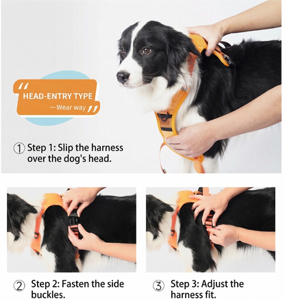 Anvyx GlideControl Leash System