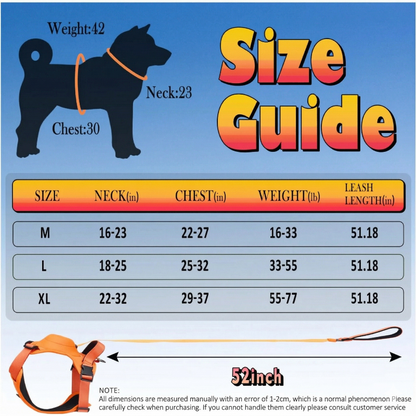 Anvyx GlideControl Leash System
